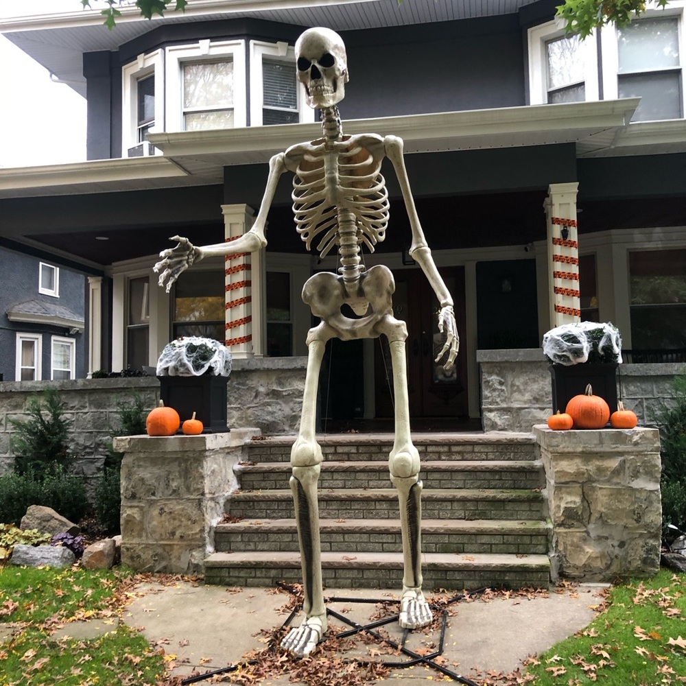 Meet your Posher, Emil lamm